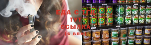индика Аркадак