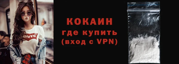 индика Аркадак