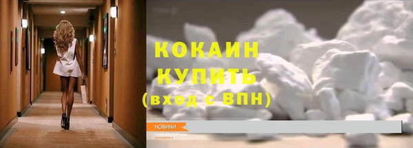 индика Аркадак