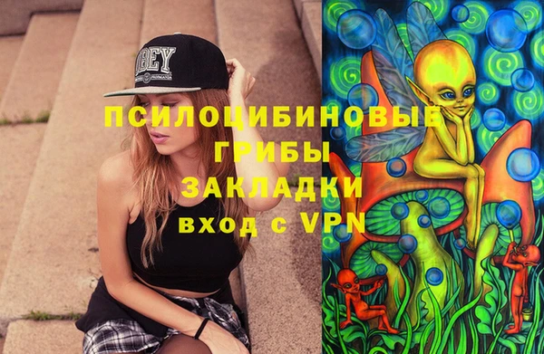 гашик Арсеньев