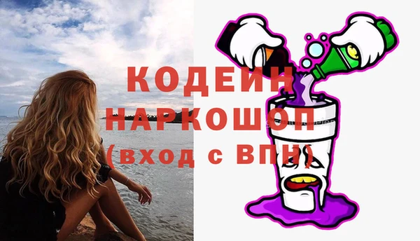 гашик Арсеньев