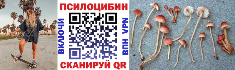 mega маркетплейс  Копейск  Галлюциногенные грибы Cubensis 
